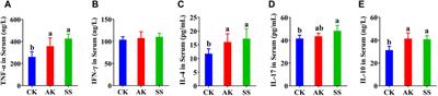 Effects of Alhagi maurorum Medik polysaccharide derived from different regions on the intestinal immune functions of lambs